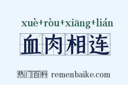 血肉相连是什么意思的图片
